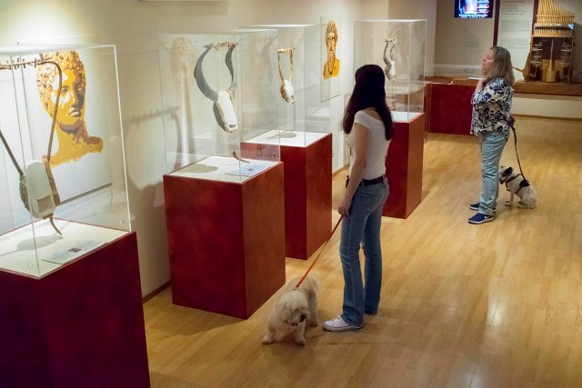 2. 'Ενα pet friendly Μουσείο στην Αθήνα