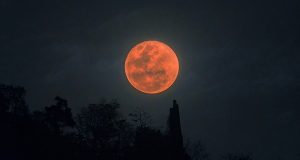 blood Moon
