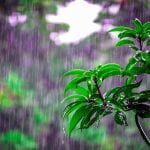 καιρός βροχή φύση