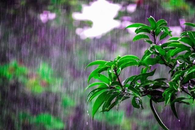 καιρός βροχή φύση
