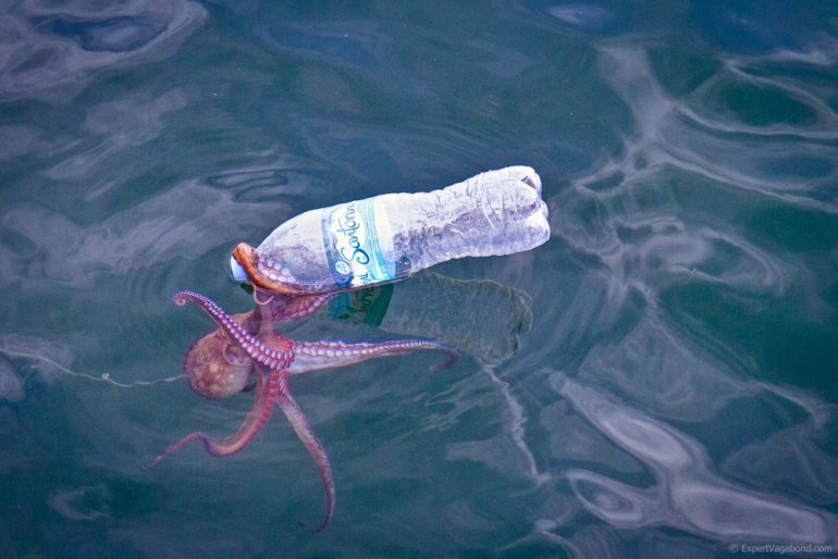 Πλαστικά στις θάλασσες