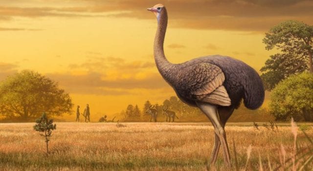 Προϊστορικό πουλί-γίγαντας ανακαλύφθηκε στην Κριμαία