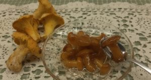 Γλυκό μανιτάρι: ντελικάτη γεύση με μοναδικό άρωμα μαστίχας Χίου