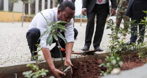 Ο πρωθυπουργός της Αιθιοπίας φυτεύει δέντρο