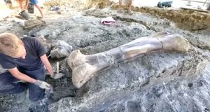 Γιγάντιο οστό δεινοσαύρου βρέθηκε στη νοτιοδυτική Γαλλία