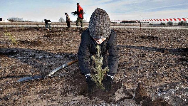 Δανία: Συγκεντρώθηκαν 2,4 εκατομμύρια ευρώ για τη φύτευση δέντρων
