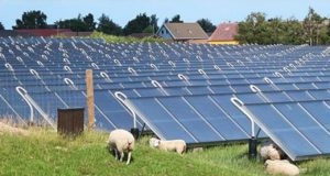 ΦΩΤΟΚΥΚΛΩΣΗ ΑΕ: Προς ανακύκλωση πάνω από 500 τόνοι φωτοβολταϊκών πλαισίων agrotika fotovoltaika 1280x720