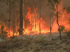 Φωτιές στην Αυστραλία