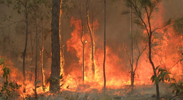Φωτιές στην Αυστραλία
