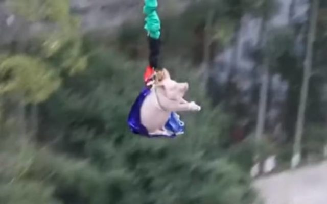 Έβαλαν γουρούνι να κάνει bungee jumping και ύστερα το έσφαξαν