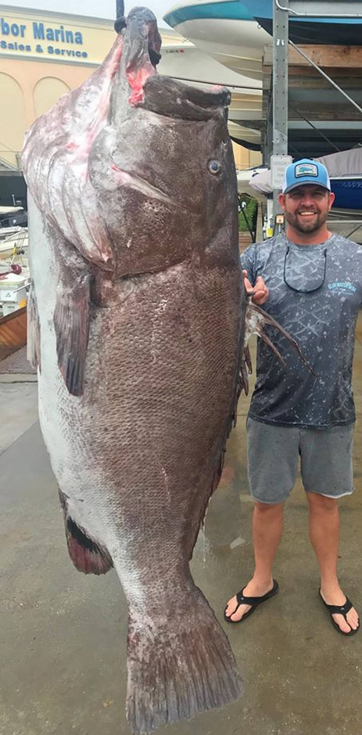Ψαράς έπιασε σφυρίδα 50 ετών που ζύγιζε 160 κιλά