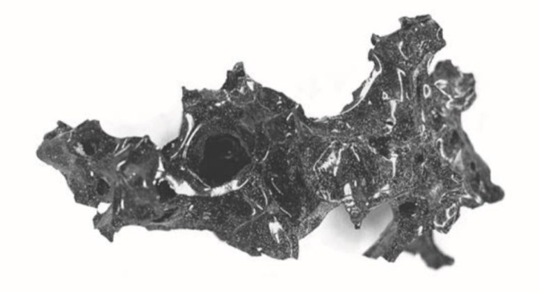 Ο εγκέφαλος ενός άντρα μετατράπηκε σε γυαλί από την έκρηξη του Βεζούβιου