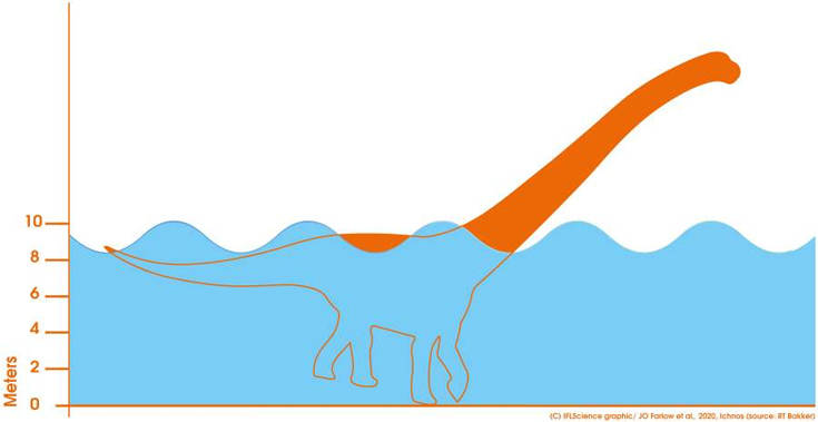 Η απόδειξη ότι οι δεινόσαυροι... κολυμπούσαν