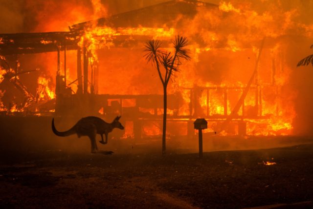 Οι φωτιές στην Αυστραλία αφάνισαν το ένα πέμπτο των δασών