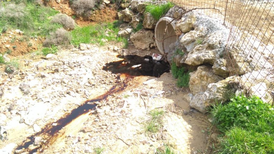 Κρήτη: Ξαφνικός θάνατος για δεκάδες άγρια πουλιά γύρω από τον ΧΥΤΑ Αμαρίου (εικόνες - σοκ)