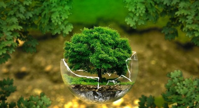 Πράσινη ανάπτυξη - περιβαλλοντικό νομοσχέδιο