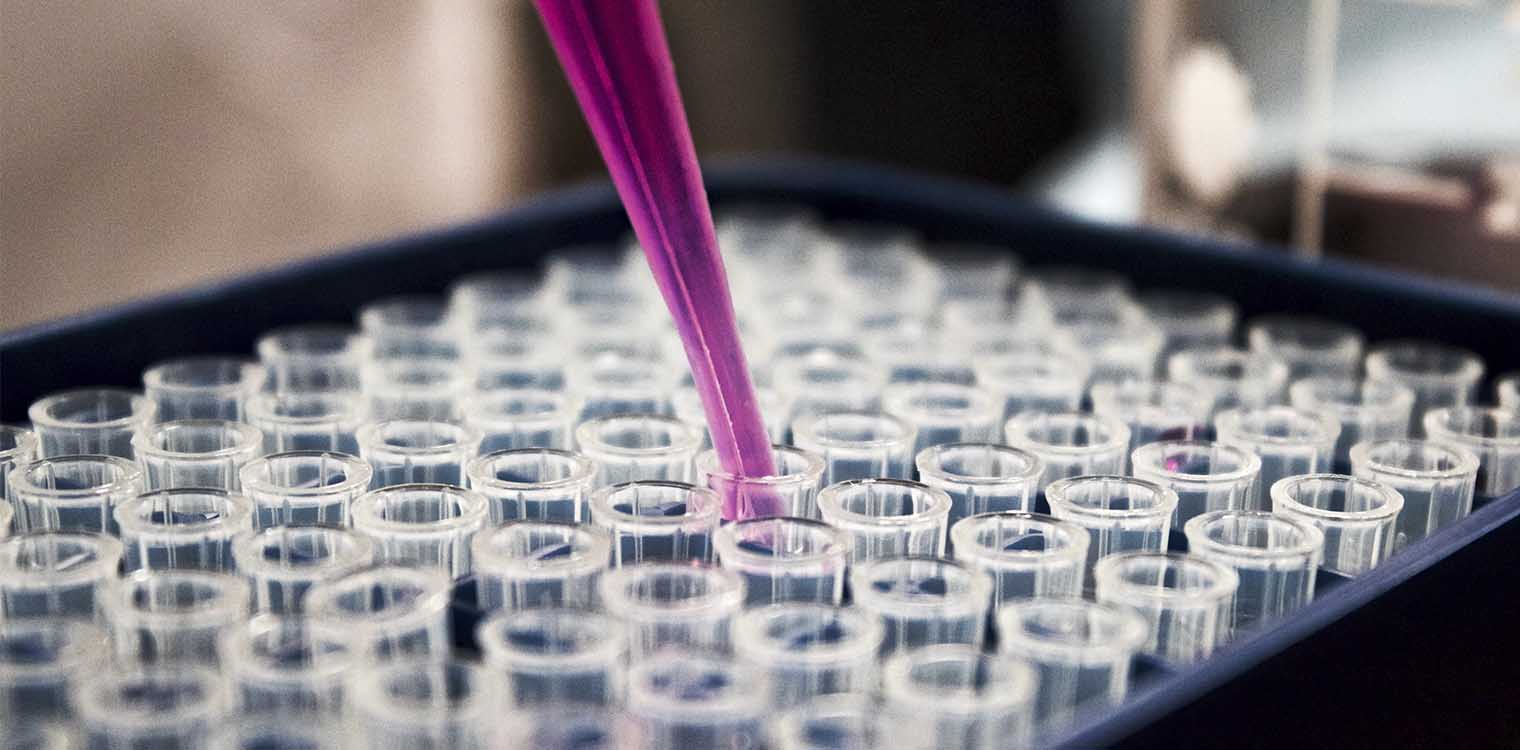 Κορονοϊός - ΗΠΑ: Με επιτυχία δοκιμάστηκε νέο φάρμακο σε πειραματόζωα και ανθρώπινα κύτταρα
