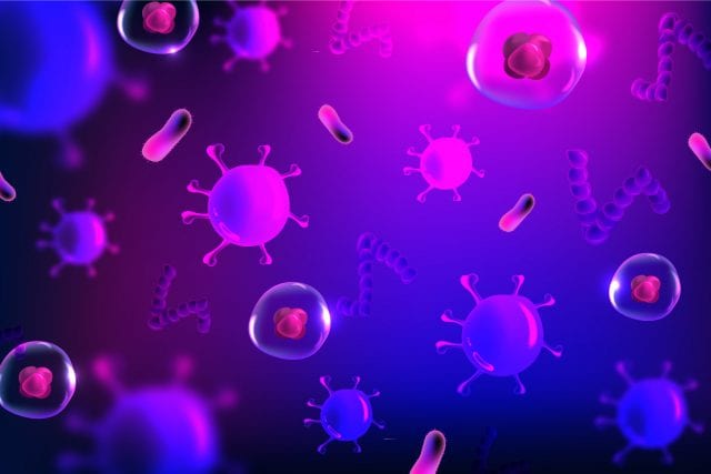 Κορονοϊός Κορονοϊός