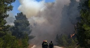 Πυρκαγιά ξέσπασε σε δασική έκταση στην Κασσάνδρα Χαλκιδικής