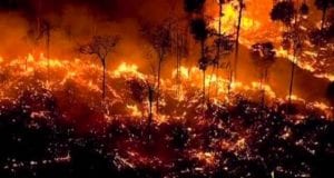 Αμαζόνιος φωτιά Αύγουστος 2019