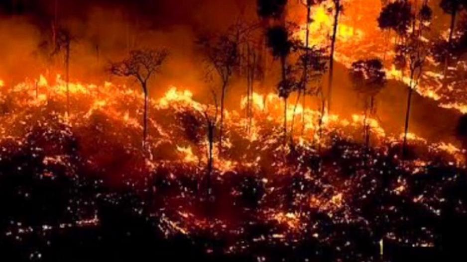 Αμαζόνιος φωτιά Αύγουστος 2019