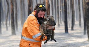 2020 01 07 australia fires wildlife