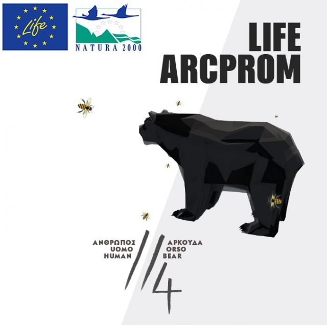Life arcprom logo