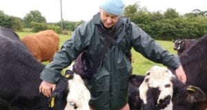 κτηνοτρόφοι αγελάδες