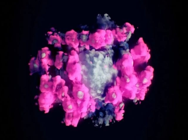 Στιγμιότυπο της 3D απεικόνισης του SARS-COV-2 από το βίντεο της Nanographics