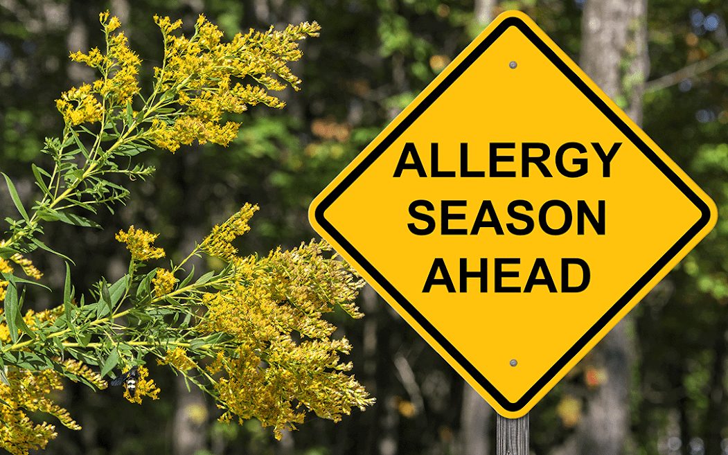 αλλεργίες γύρη