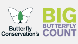 BIG BUTTERFLY COUNT