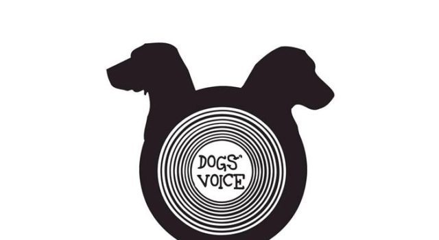dogs voice logotupo