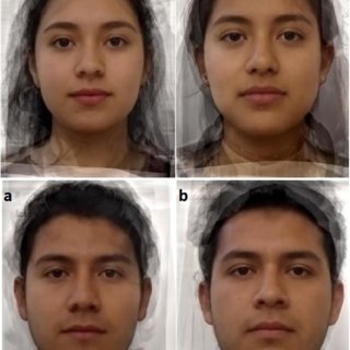 A Composite images of ten Toxoplasma infected women and ten Toxoplasma infected men Q320