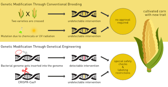 Genetical Engineering