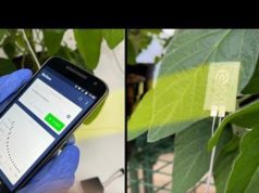 a new wearable technology for plants video