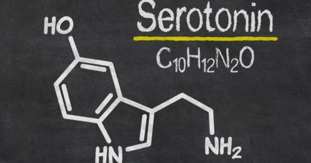 serotonin 3