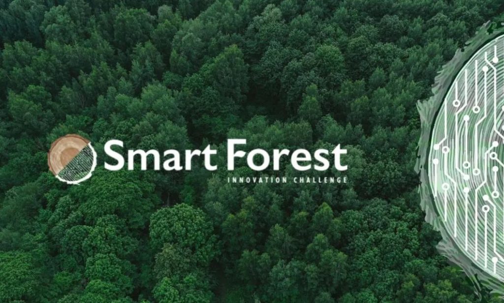 smart forest