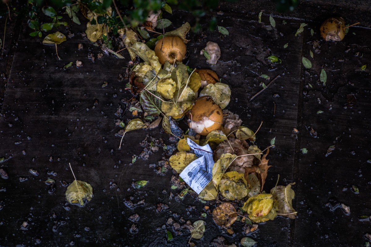 food waste - σπατάλη - σκουπίδια