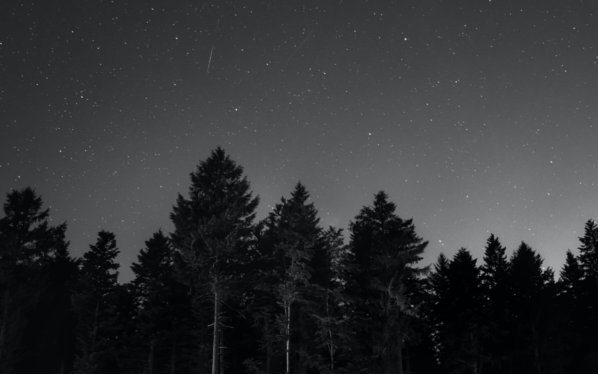 νυχτερινός ουρανός - βροχή αστεριών