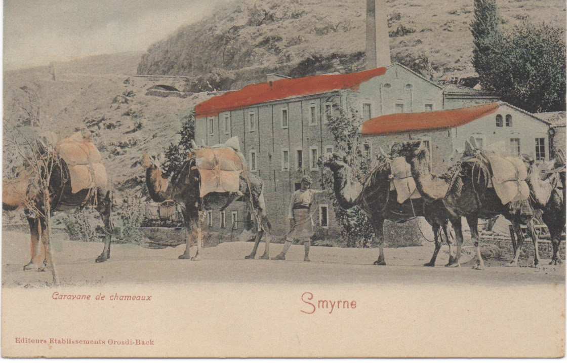 Καρτ-ποστάλ: Καμηλιέρηδες στη Σμύρνη. Αρχείο Οικογένειας Λαμπάκη