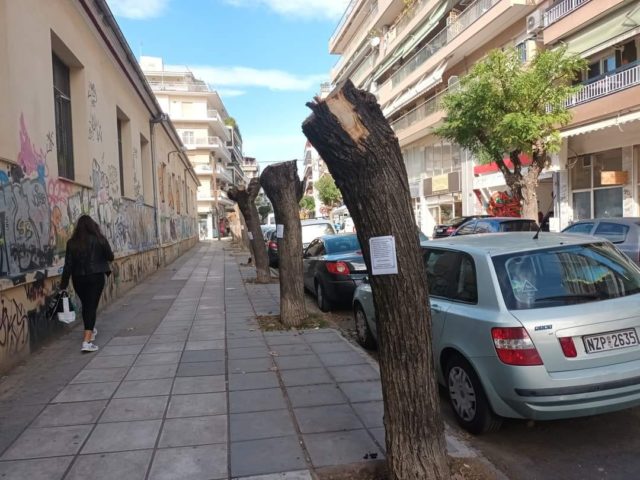 SOSε ΤΑ ΔΕΝΤΡΑ Θεσσαλονίκης