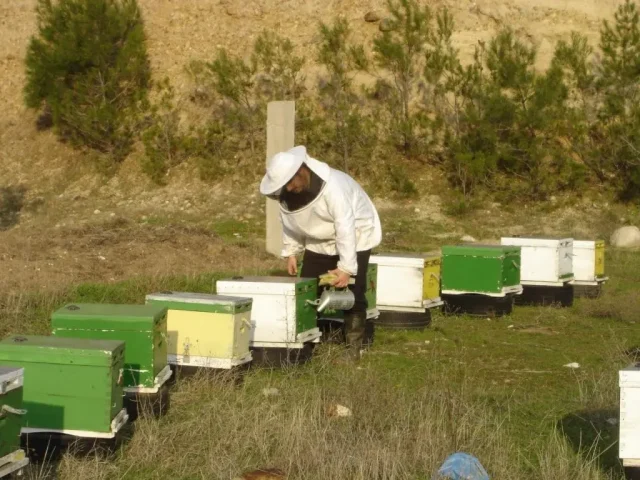 μελισσοκομικό πάρκο σουφλίου