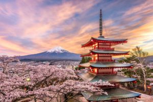 Ιαπωνία ανθισμένες κερασιές τοπίο