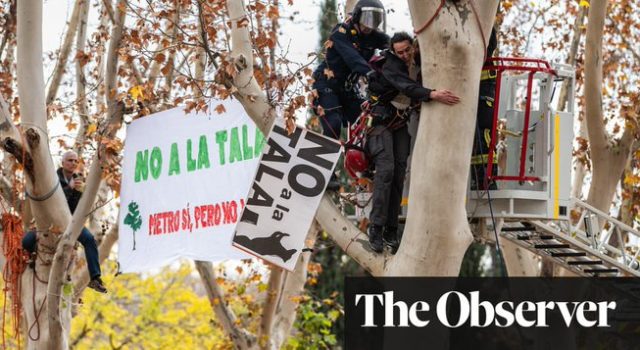 Μαδρίτη δέντρα ακτιβιστές