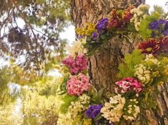 Wreath of flowers hanging from a tree on 1st of May labour day in Greece.