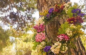 Wreath of flowers hanging from a tree on 1st of May labour day in Greece.