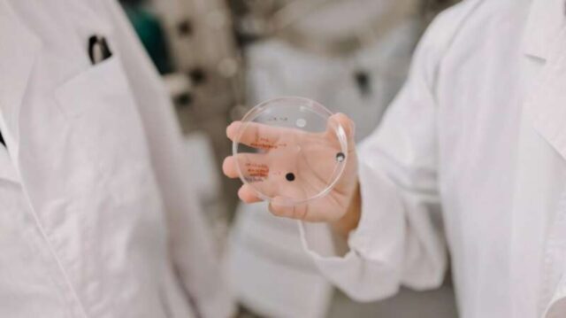 next gen biobattery sh 1 1