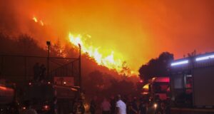 TURKEY FIRE ENVIRONMENT