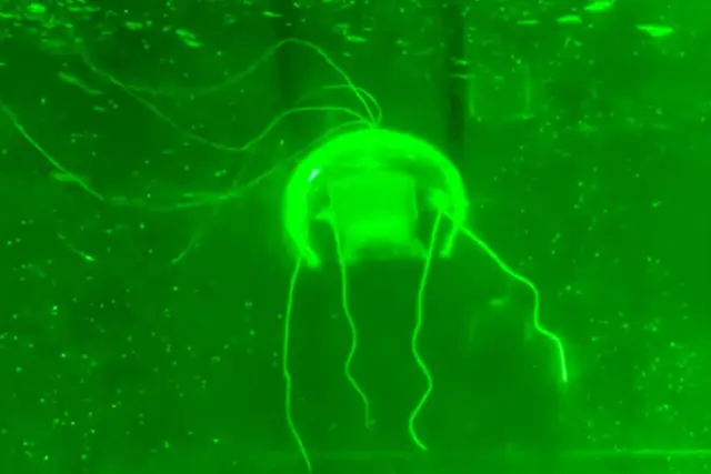 robot medousa robot medousa