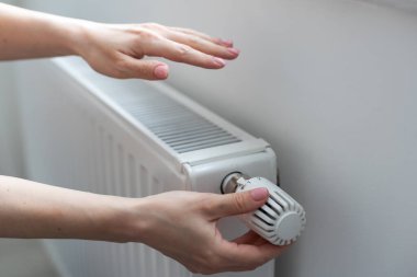 petrelaio thermansis petrelaio thermansis